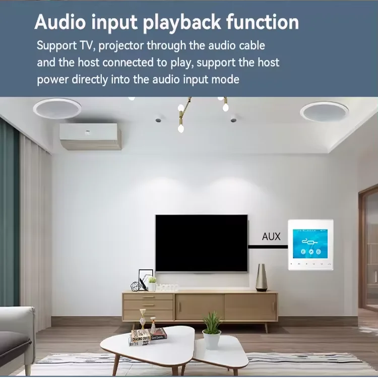 홈 블루투스 벽 증폭기 배경 음악 호스트 제어 시스템  - Audio Music Background 리뷰 및 가격
